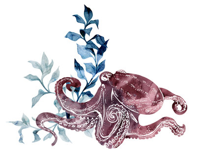 Watercolor and ink hand drawn marine life, sea ocean underwater creatures. fish, shells algae seaweed. Composition illustration, stylized, isolated on white. For zoo shop, aquarium, cosmetics, resortの写真素材