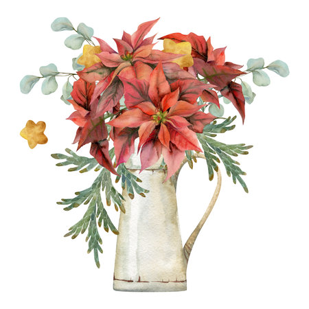 Red poinsettia flowers, gold star baubles, juniper eucalyptus. Watercolor hand drawn illustration, vase bouquet isolated on white. Xmas, happy new year festive noel navidad holiday. Florist, wedding.の写真素材