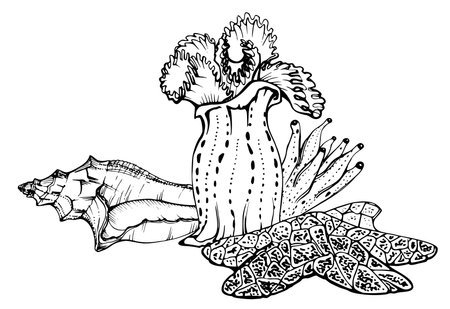 Marine life, sea ocean underwater creatures fish, shells algae seaweed, Ink and pen sketch hand drawn. Composition illustration, stylized, isolated on white. For zoo shop, aquarium, cosmetics, resortのイラスト素材