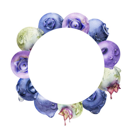 Blueberry blackberry, hand drawn in watercolor, group of scattered ripe forest berry with drops, blue and purple. Wreath frame isolated illustration for restaurant, dessert cafe menu, farmers marketの写真素材