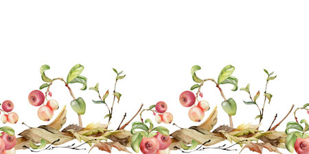 Cranberry lingonberry twigs branches on dry leaves, hand drawn in watercolor. Ripe swamp forest berry, bearberry teaberry wintergreen. Isolated seamless banner border. Restaurant menu, farmers marketの写真素材