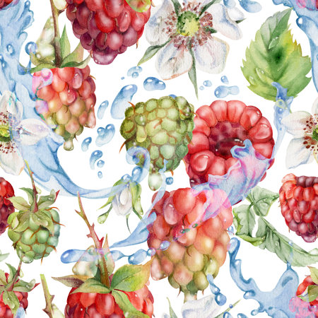 Raspberry leaves, dew drops flying in water splash, ripe summer garden forest berry loganberry hand drawn in watercolor. Isolated seamless pattern tile. Home preserves, stationery, menu, recipe bookの写真素材