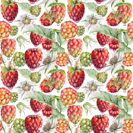 Raspberry ripe garden berries, flowers in water dew drops. Seamless isolated pattern tile hand drawn in watercolor. Home preserves, food store decor, textile washi tape, packaging, wrapping paperの写真素材