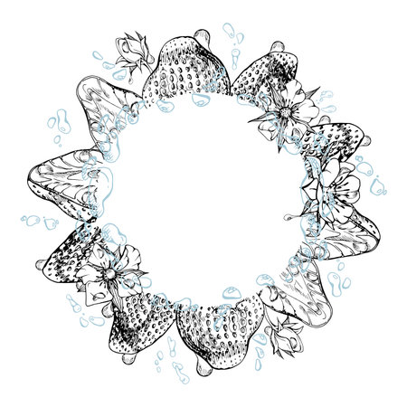 Strawberry berries full and cut in half wreath with flowers, water splash, dew drops hand drawn in vector ink. Ripe garden pineberry strasberry. Isolated circle frame. Food grocery, preserves cookbookのイラスト素材