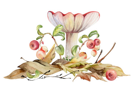 Russula cortinarius webcap mushroom, cranberry lingonberry branches on top of fallen autumn leaves pile with twigs. Forest floor woodland scene. Fungi natural illustration hand drawn in watercolor.の写真素材