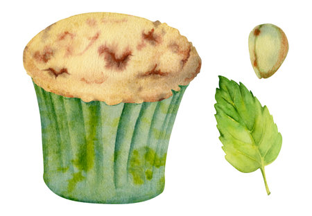 Watercolor cupcake in craft paper wrapper, artisanal baked muffin in frilled cup with fresh mint leaf, pistachio nut kernel. Isolated hand drawn illustration for culinary stickers, food-themed packs.の写真素材