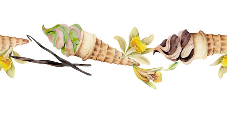 Soft ice cream wafer cone with vanilla flower and pod hand drawn in watercolor, chocolate matcha pistachio mint flavor. Isolated seamless banner border header. Artisan dessert branding wrap, cafe menuの写真素材