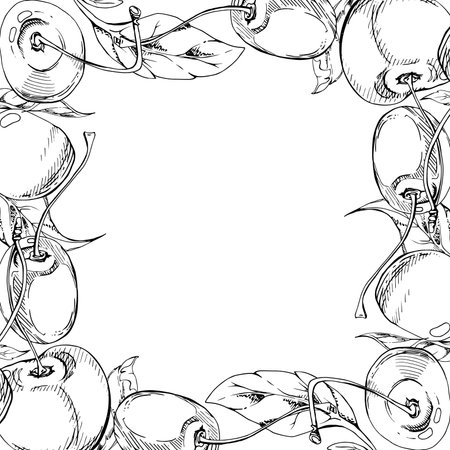 Sweet sour line cherry with plant leaves, hand drawn vector ink, garden berry in group clusters on branches. Square border frame illustration, for restaurant, cafe menu, wedding, farmers market.のイラスト素材