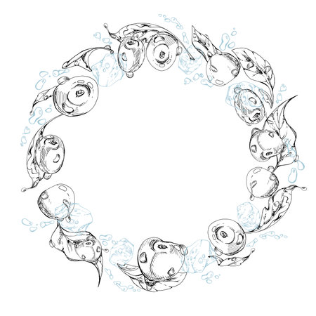 Sweet cherry cerise flying in water splashes drops ice cubes, hand drawn vector ink, ripe line garden berry leaves. Circle wreath frame illustration. Restaurant cafe menu, farmers market, weddingのイラスト素材