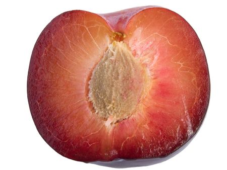 Plum and plum stone on a white backgroundの写真素材