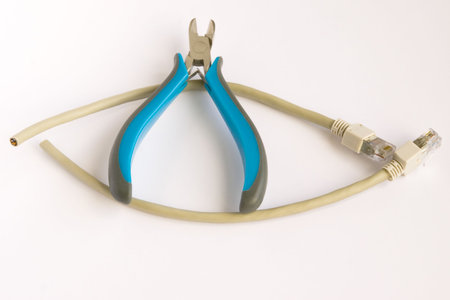 The cut network cable of type rj-45