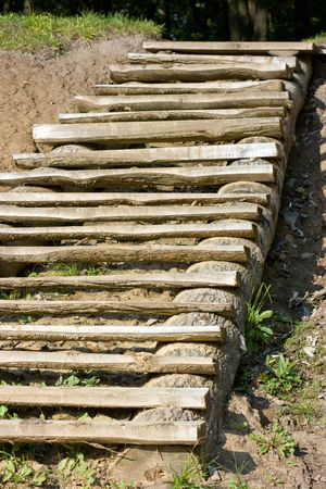 Greater self-made ladder from a tree の写真素材