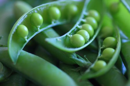 Peas and pods of peas, macroの写真素材