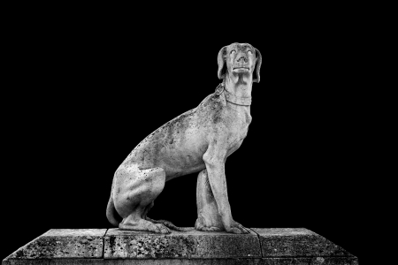 Dog statue in black and whiteの写真素材