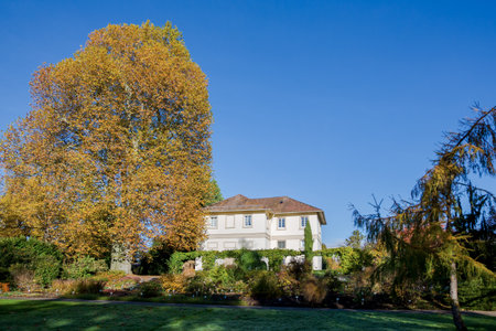 Botanic garden in Hohenheim germanyのeditorial素材