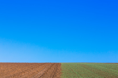 farmland in the spring on a sunny dayの写真素材
