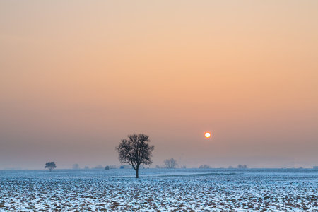 beautiful sunrise in a winter landscapeの写真素材
