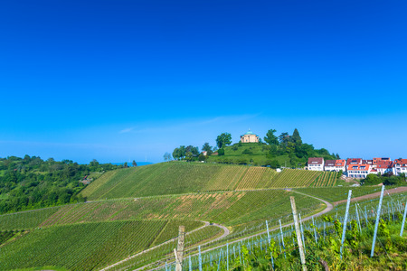 vineyard with grave chapel close to the city Stuttgart in Germanyの写真素材