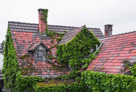 overgrown roof of a old houseの写真素材