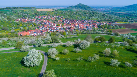 aerial of cherry orchard with view to the village Hepsisau and old vulcanのeditorial素材