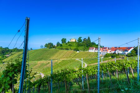 old grave on top of a hill amids vine yard at Stuttgartの写真素材