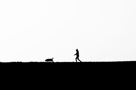 walking the dog on the field
