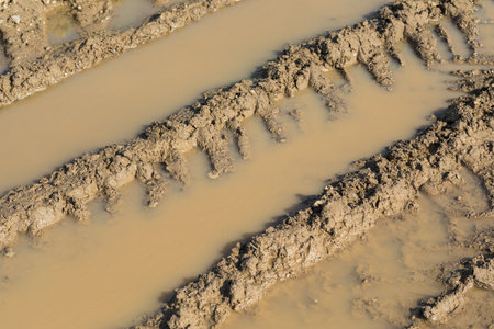 detail of a brown muddy puddle with tracks in the mudの写真素材