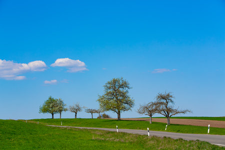 scenic landscape view along a country road on a sunny day in springの写真素材