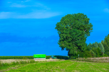 landscape with big tree and tractor in summerの写真素材