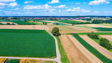 drone view of a landscape with fields and country road in the summer