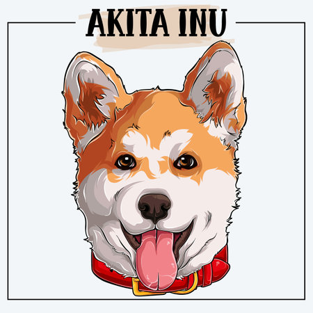 Cute akita inu face with a red collarのイラスト素材