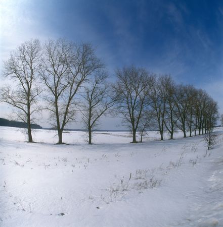 Winter landscape. Chernigiv region, Ukraine.の写真素材