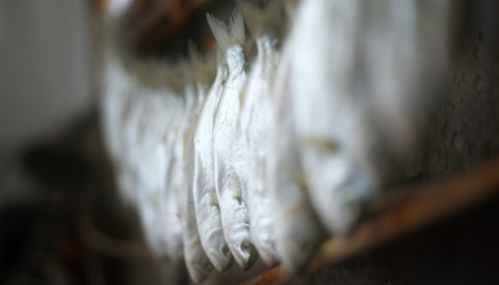 Salted fish hanging for drying. Selective focus.のeditorial素材