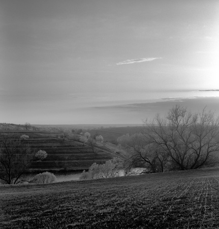 Spring landscape. Black & white film, orange filter.の写真素材