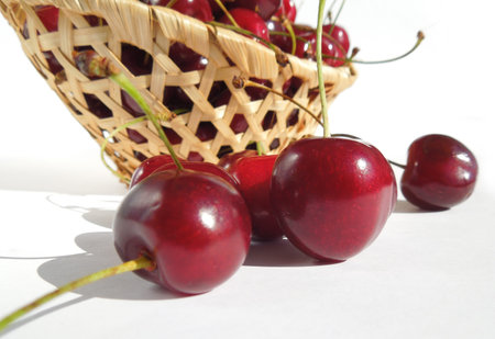 Fresh organic red sweet cherries in a wattled basket.