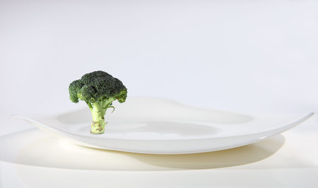 Lonely broccoli on the white plate.