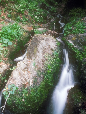 Wild mountain streamlet taken with long exposure の写真素材
