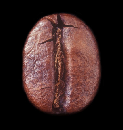 Coffee bean closeup isolated on black background の写真素材