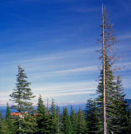 Mountain landscape in Carpathian mountain range, Ukraine.の写真素材