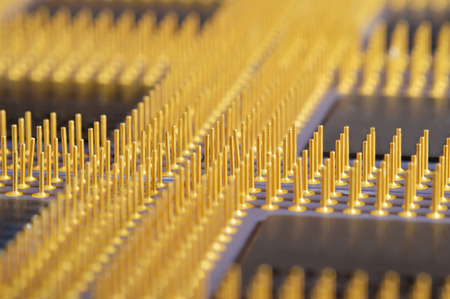 Close-up view of CPUs from contacts side.の写真素材