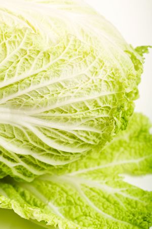 napa cabbage on whiteの写真素材