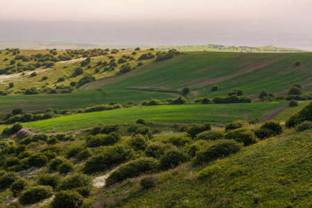 Scenic landscape to beautiful green hills with bushes and trees on a sunny day in Northern Iranの写真素材