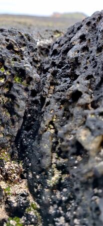 Macro shot of volcanic black rock and green algae on the hyeopjae beach in jeju island, south koreaの写真素材