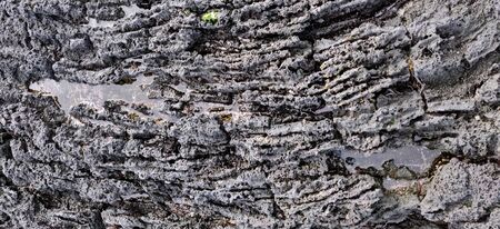 Macro shot of volcanic black rock and water on the hyeopjae beach while in vacation in jeju island, south koreaの写真素材