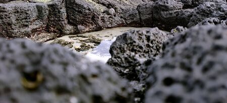 Macro shot of volcanic black rock on the beach while in vacation in jeju island, south koreaの写真素材