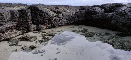Macro shot of volcanic black rock on the hyeopjae beach while in vacation in jeju island, south koreaの写真素材