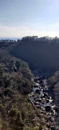 A divine ray of light in a valley with brook filled with rocks surrounded by green bushes in Jeju Island, South Koreaの写真素材