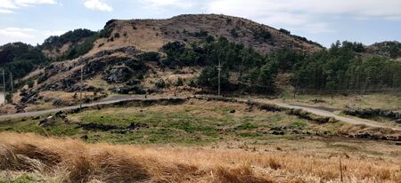 Grassland and marshlands texture of songaksan mountain in Jeju Island, South Koreaの写真素材