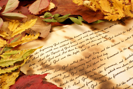 Colorful background of Bible and fallen autumn leavesの写真素材