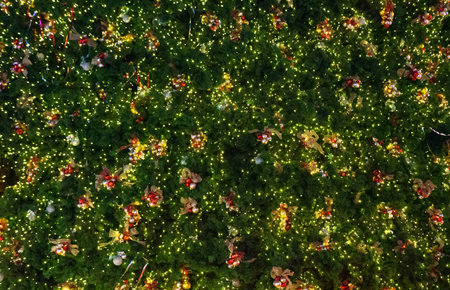Christmas Tree. Close-up winter background.の写真素材